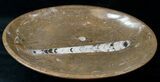 Fossil Orthoceras Serving Bowl - Stoneware #14538-1